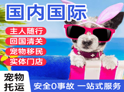 天府航空空运国际宠物托运 【国